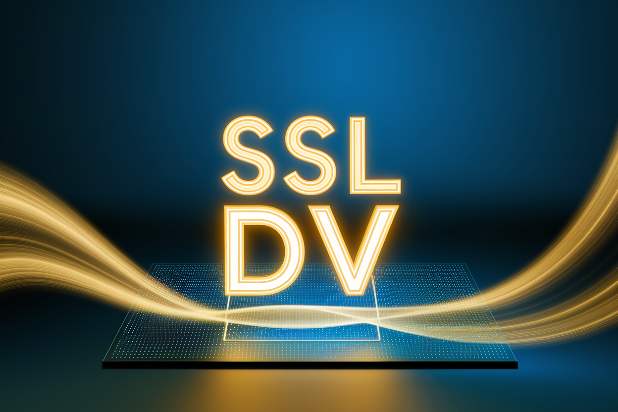 ssl DV v1